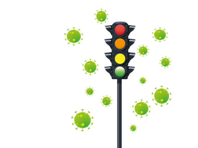 Organic Traffic