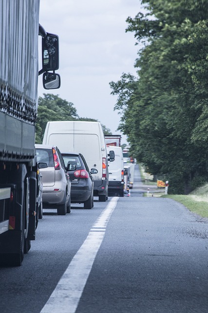 Organic Traffic