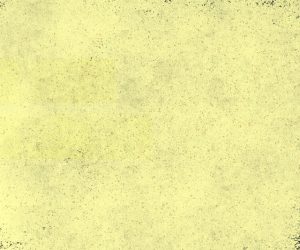 Mastering Pet Stain Cleaning: Techniques for Effective Professional Care