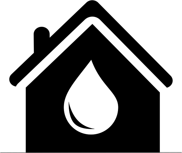 Pet Stain Cleaning