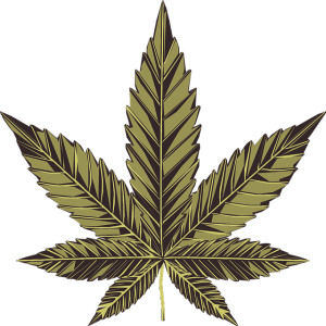 pure-cbd-isolate-640x480-98307612.png
