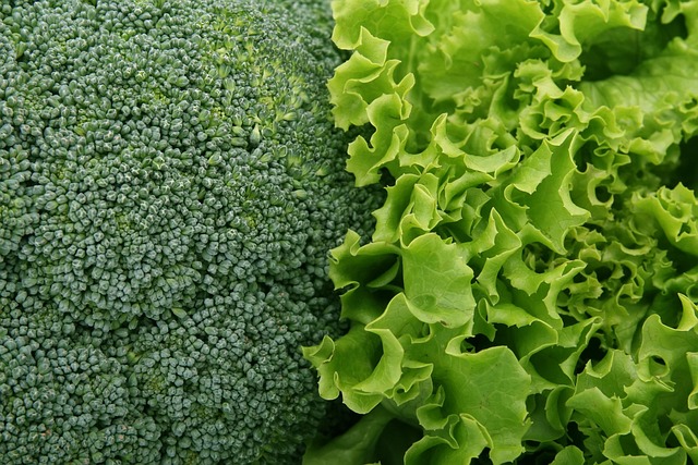 semaglutide diet program
