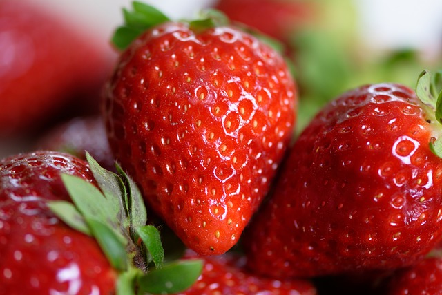 semaglutide diet program