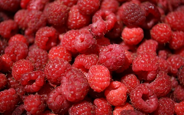 semaglutide diet program