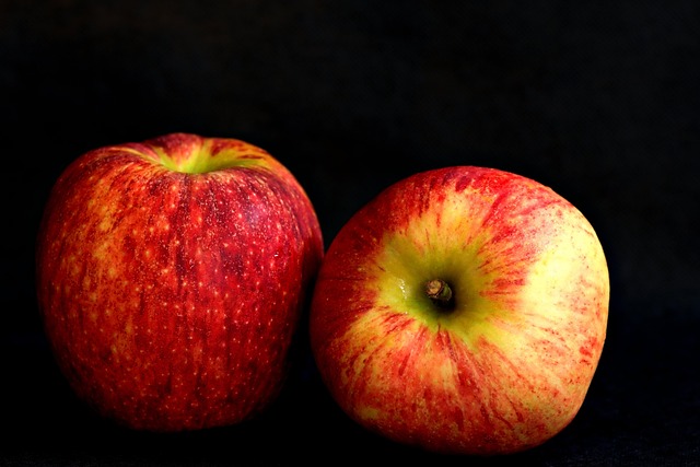semaglutide diet program