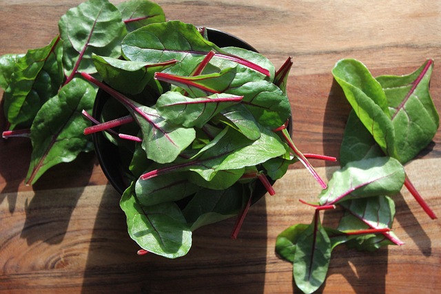 semaglutide diet program