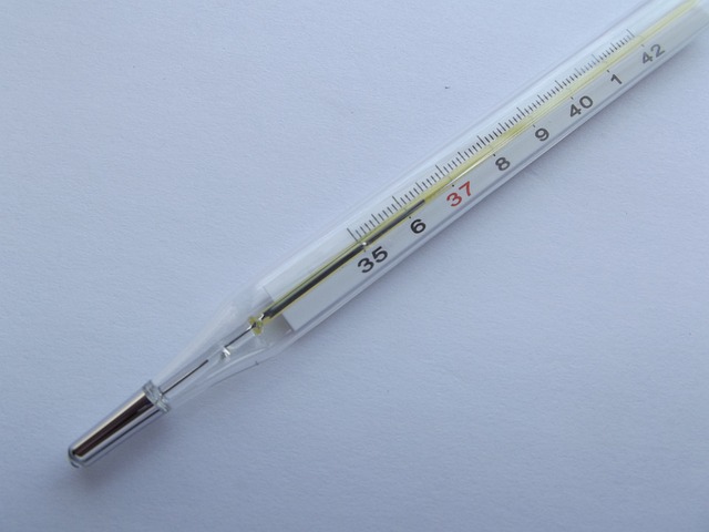 semaglutide medication