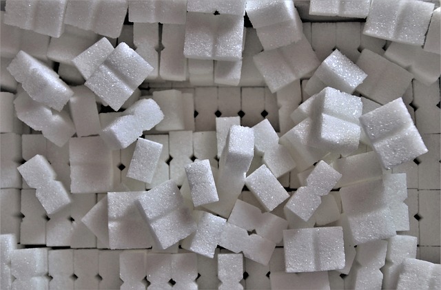 semaglutide obesity medication