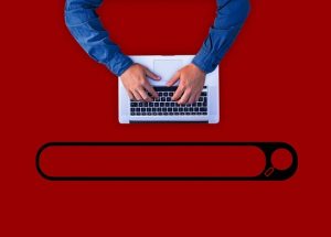 Master SEO Basics: Optimize, Rank, & Engage Your Audience