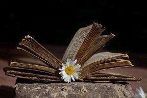 SEO Content Writing: Strategies for Digital Success
