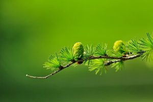 Unleash SEO Growth Strategies for Digital Success