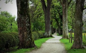 Navigating Side Effects of Semaglutide: Precautions for Safe Use