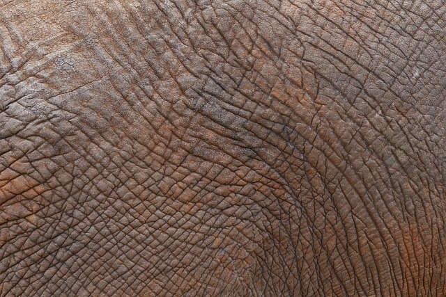 Skin Tightening with Morpheus8