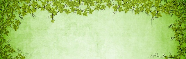Website Redesign