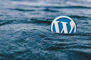 Unleashing Business Growth: WordPress Design’s Comprehensive Solutions