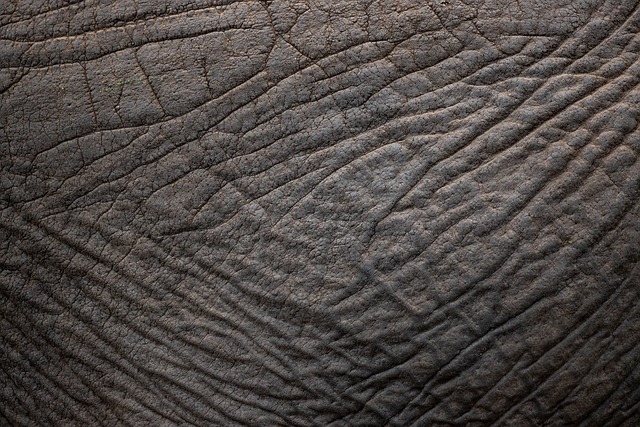Wrinkle Reduction