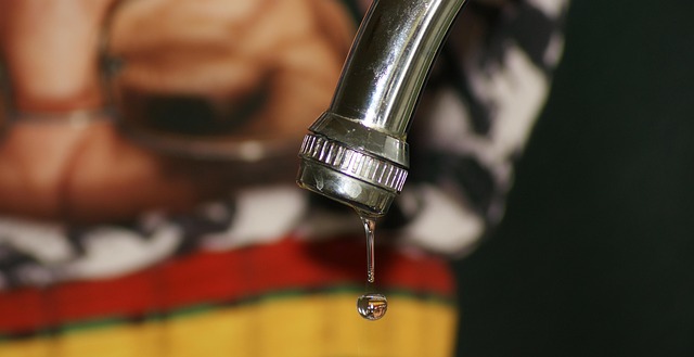 Affordable Leak Detection