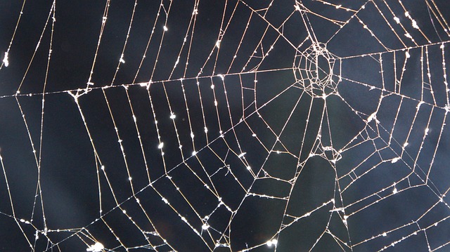affordable web design