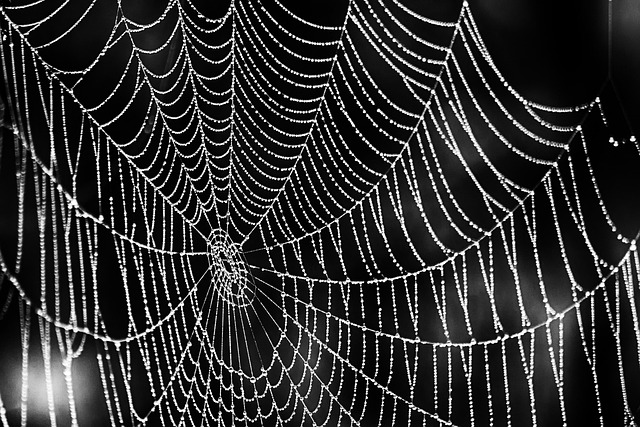 Affordable web design