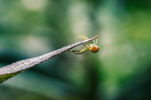 Streamline Your Online Presence: Fast Website Redesign Strategies