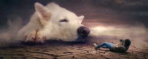 Weatherproof Dog Houses: Durability, Comfort, and Technical Tips for Optimal Care