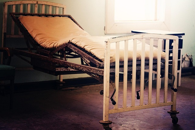 bed bug heat treatment