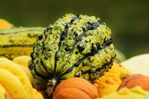 Unlocking Wellness: The Rise of Non-Psychoactive Compounds and CBD Edibles