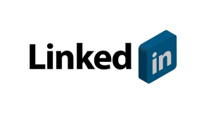 Elevate Your Brand: Tailored Web Design Services from Top Experts