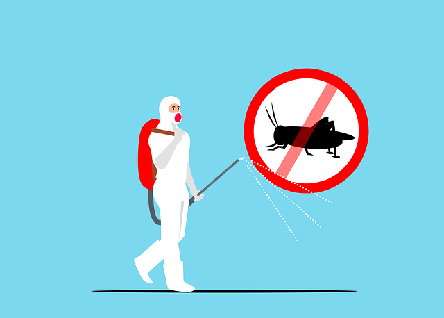 bug exterminator