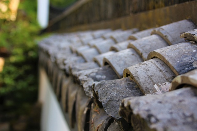 certified roofing contractors
