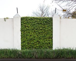 Commercial Foundation Repair: Comprehensive Guide to Stabilizing Your Property