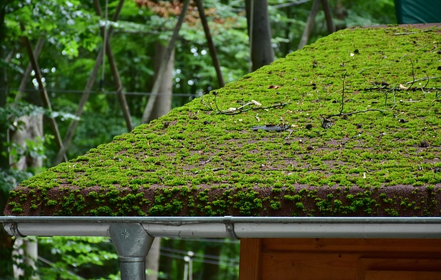 Commercial Roofing