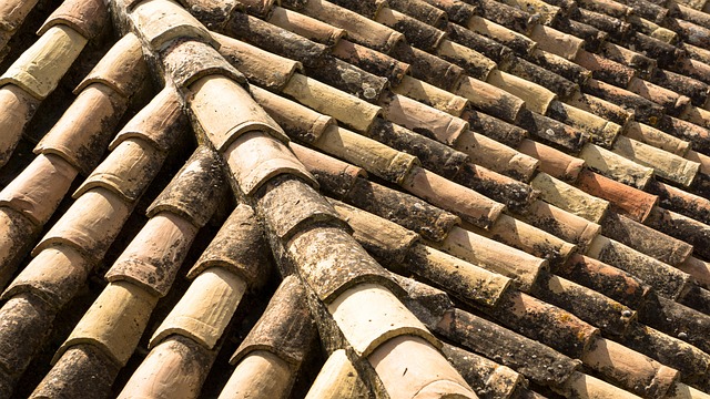 Commercial Roofing