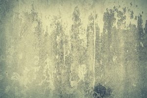 Expert Concrete Foundation Solutions: Specialized Contractors Lead the Way