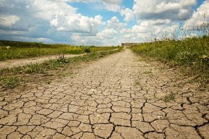 Concrete Wall Crack Repair: A Comprehensive Guide to Damage Assessment and Restoration