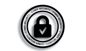 Securing Your Digital Future: Uncovering Affordable Cyber Insurance Solutions
