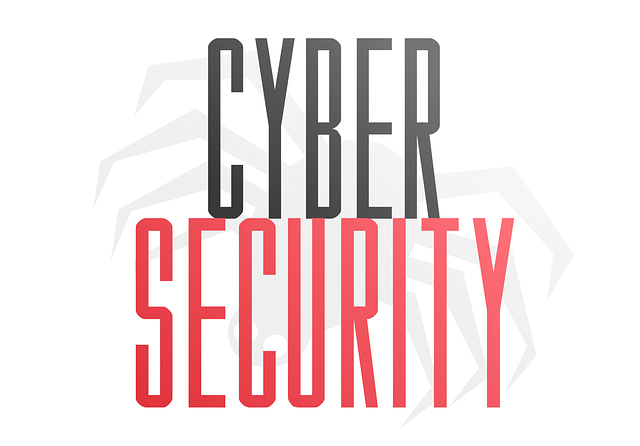 Cyber Insurance for Data Protection