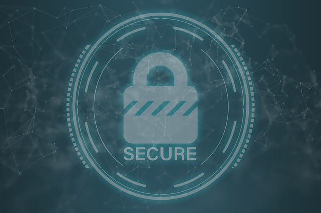 Cyber Insurance for Data Protection