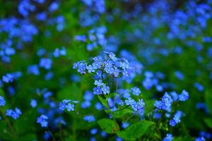 Delta-8 THC: Unlocking Natural Sleep Aid Near You