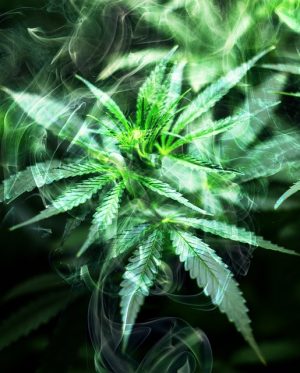 Delta-8 THC Legality: A Comprehensive Guide to Regional Laws and Local Businesses