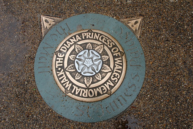 Drain Cleaning