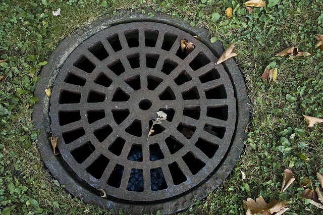 drain cleaning services
