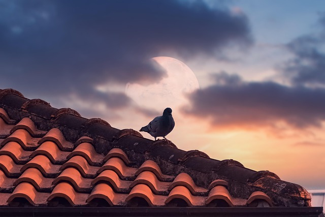 durable roofing materials