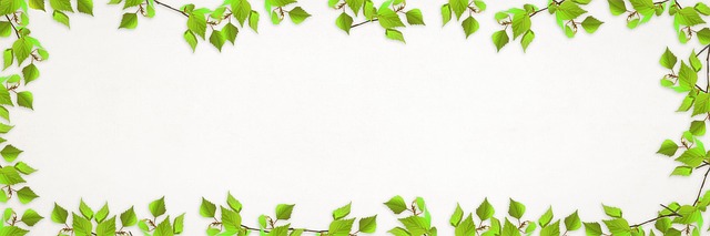 ecommerce website design