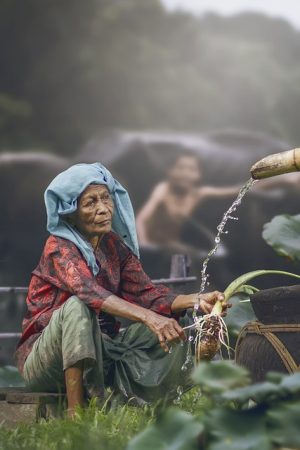 Elderly Companion Services: Streamlining Errand Running for Busy Caregivers
