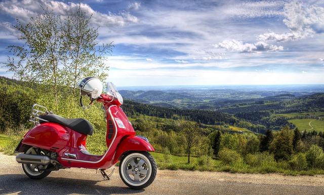 electric scooters for adults