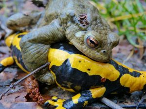 Errors and Omissions Insurance: Protecting Professionals from Liability