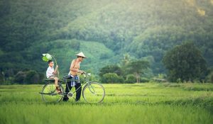Unleashing Family Strength: Exploring Therapeutic Interventions and Counseling Services