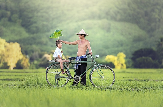 family health insurance