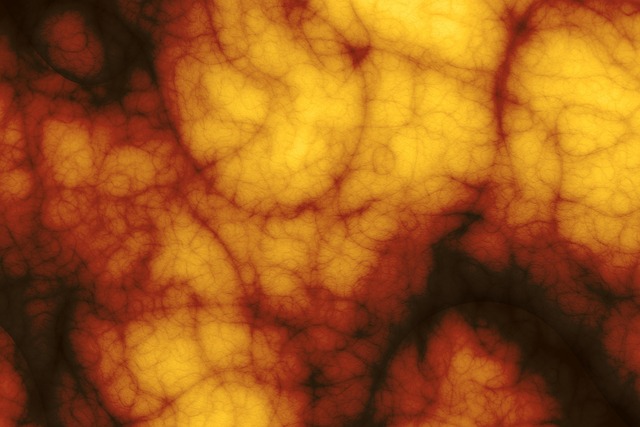 Fat Cell Freezing